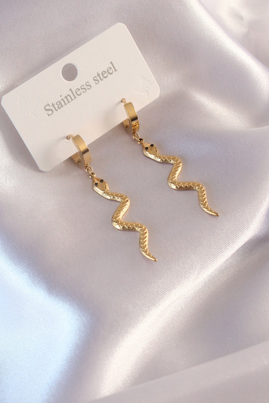 Boucles d'oreilles acier Caroline