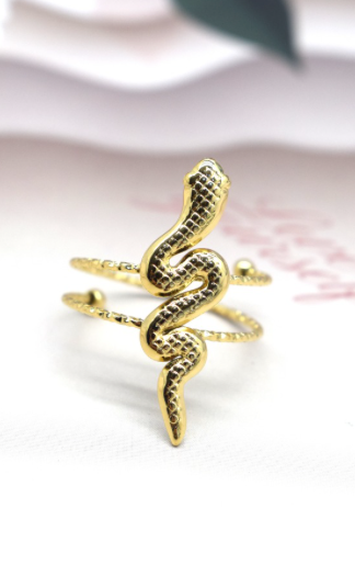 Bague acier Serpent